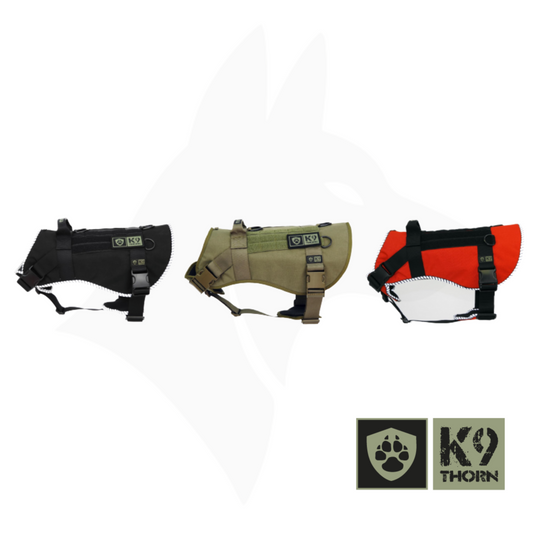 K9 Thorn Echo rakmed