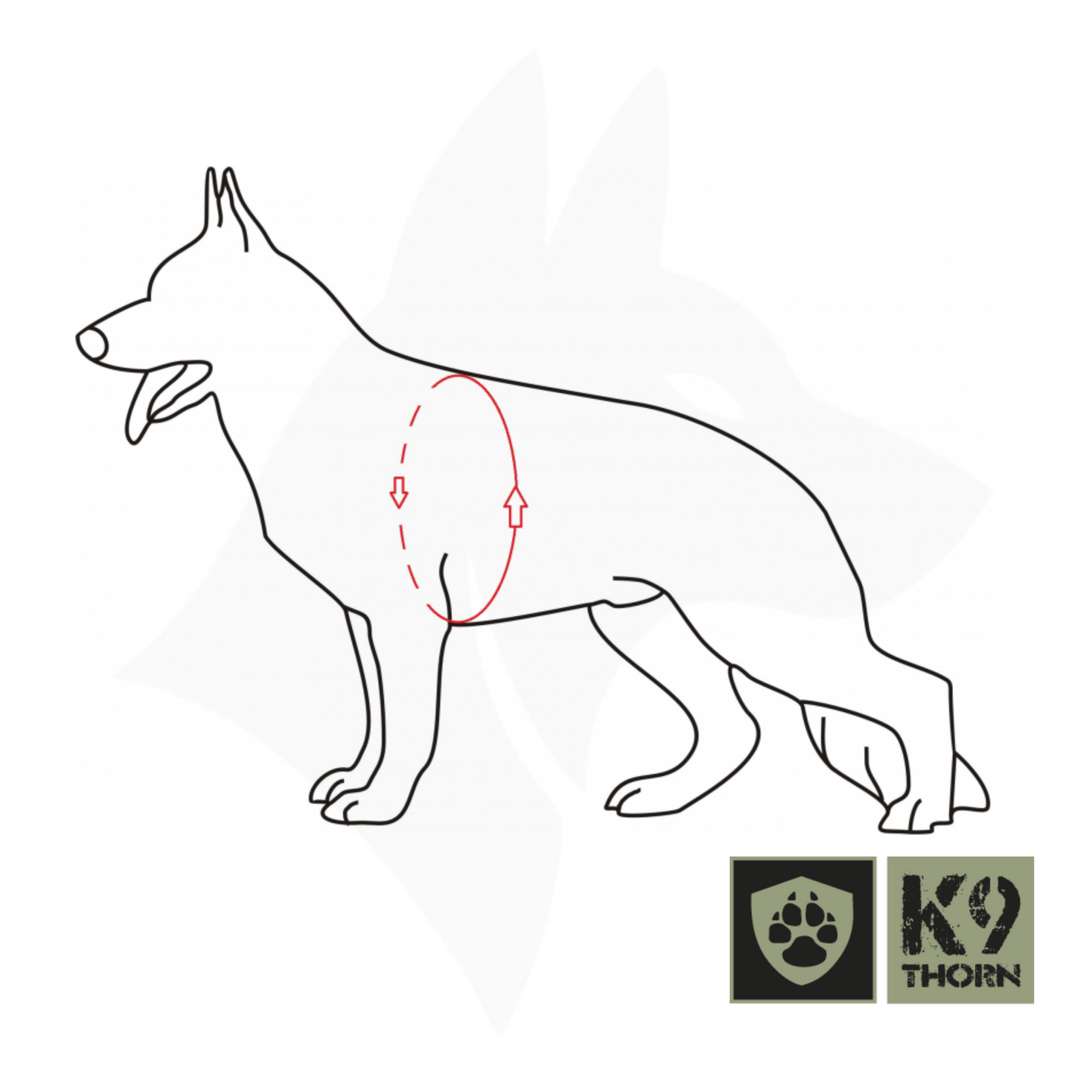 K9 Thorn Echo rakmed
