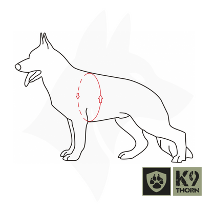 K9 Thorn Echo rakmed