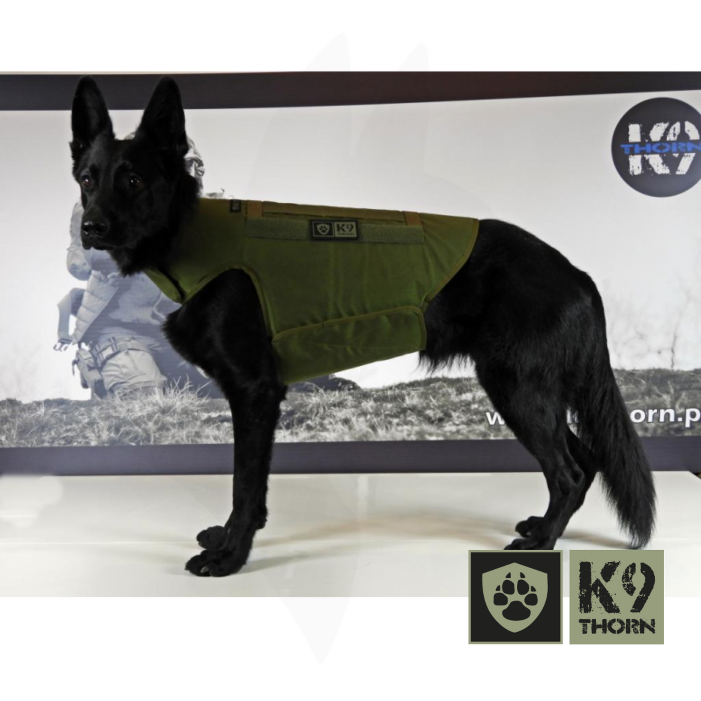 K9 Thorn IIIA klassi ballistiline vest koerale