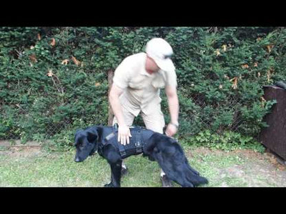 K9 Thorn Taktikalised rakmed Plus